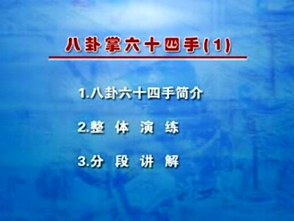 梁派八卦掌-直趟64手-教学-第一集-高继武演练